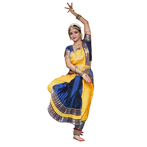 Bharatanatyam costume with Pallu - 1 set