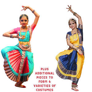 Bharatanatyam Costume with Pallu - Combo set