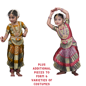 Bharatanatyam Costume without Pallu - Combo set